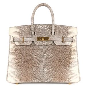 hermès birkin 25 ombre lizard gold hardware / z stamp 2022, brand new